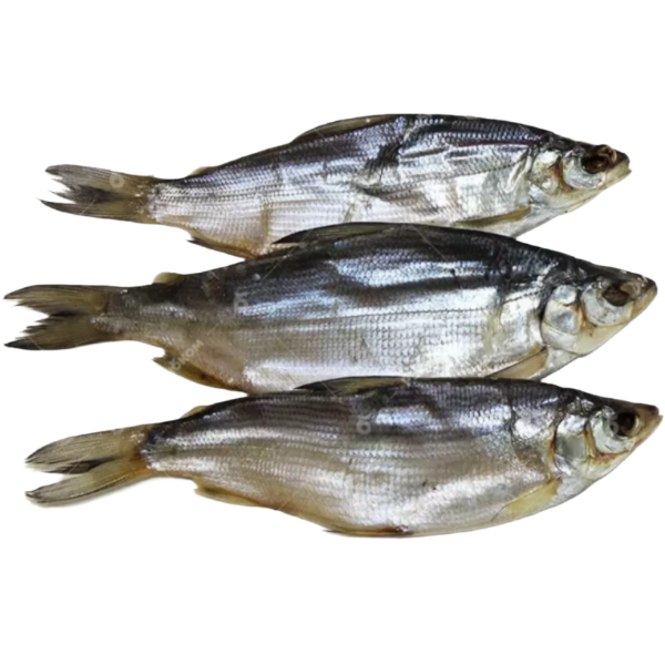Пелядь (Якутия) вяленая вес. 